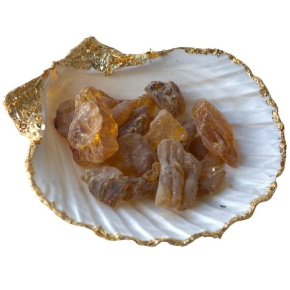 copal-st-jacobsschelp